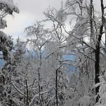 A7 斯克拉斯卡波伦巴