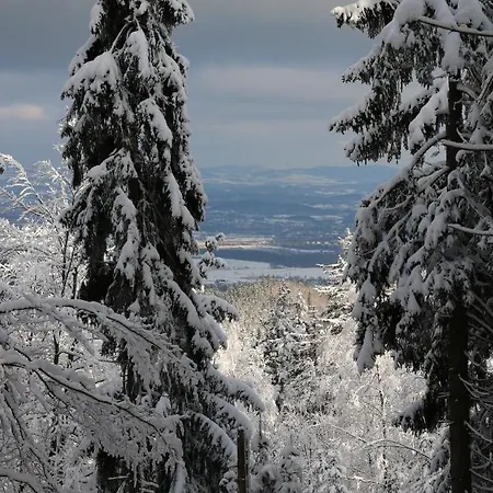 Апартаменти A7